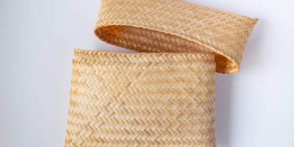 Boho Botanica The Rattan Purse That Feels Like Summer